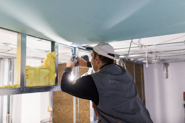 Best Eco-Friendly or Green Insulation Solutions  in Town N Country, FL