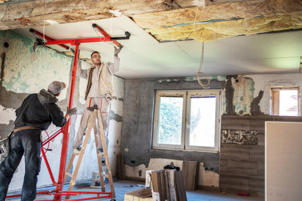 Best Attic Insulation Installation  in Town N Country, FL