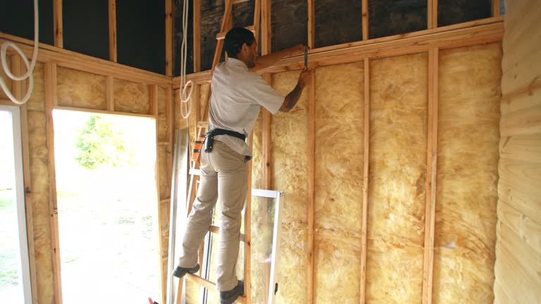 Best Insulation for New Construction  in Town N Country, FL